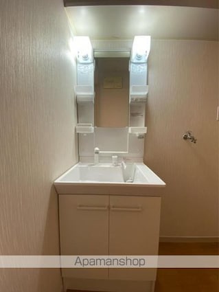 ＹＭハイツ　Ａ・Ｂ・Ｃ棟[2LDK/54.07m2]の洗面所