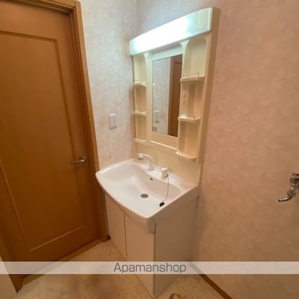 ボナールヴィレッジ[2LDK/53.98m2]の洗面所