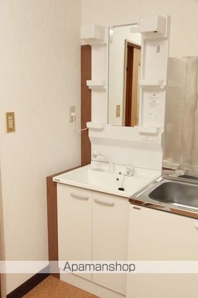 ハイツ北上[2K/37.26m2]の洗面所