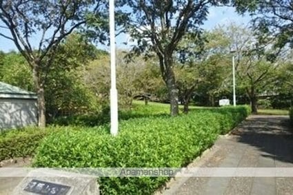 メゾン小林[2DK/47.59m2]の周辺4