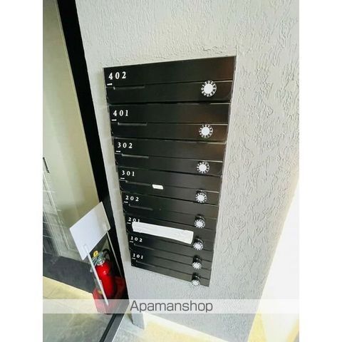 STELLAのその他写真