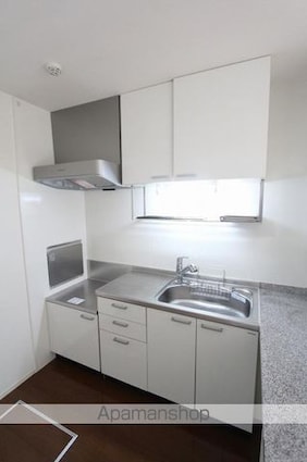 桜サライ[1LDK/47.36m2]のキッチン