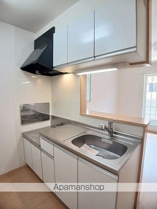 フォレストコート明神Ⅲ[1LDK/42.8m2]のキッチン