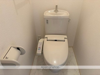 グラースシェリー[2LDK/53.76m2]のトイレ