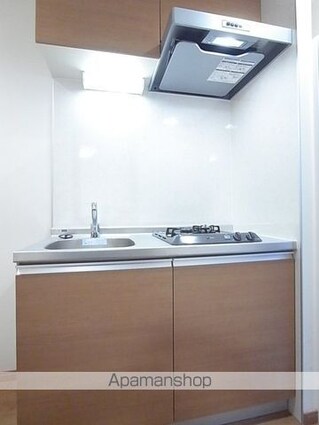 Ｎｅｏ　ｖｉｔａ新小岩[1K/20m2]のキッチン1