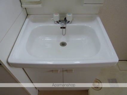 ソレイユ豊ＰａｒｔⅡ[1K/25m2]の洗面所