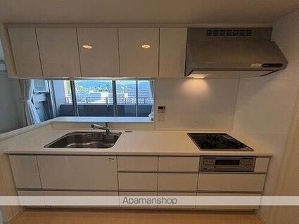 サーパスシティ城山公園[3LDK/83.14m2]のキッチン