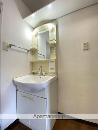 サテライトＳ１・２棟[2K/42.98m2]の洗面所