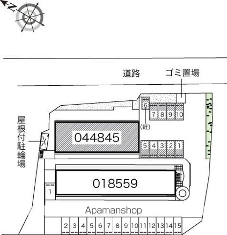 レオネクストカンパニュラのその他写真