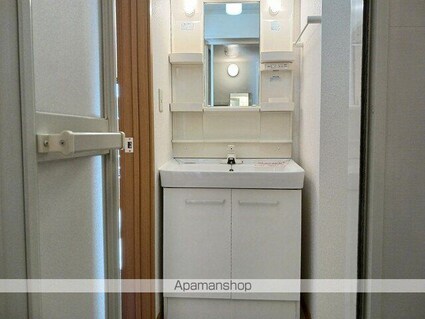 Ｍｏｏｎ　Ｐａｔｉｏ[1LDK/46.28m2]の洗面所