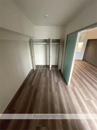 スターズスクエア浦和美園[2LDK/60.6m2]の収納