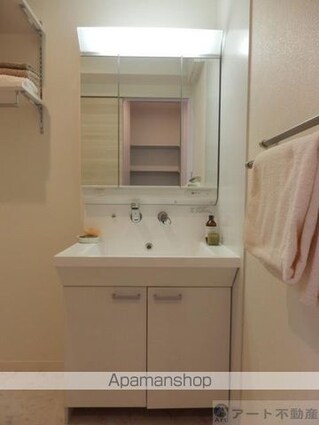 アイカエール[2LDK/62.69m2]の洗面所