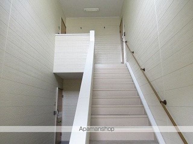 ヴィオラIIIBのその他写真