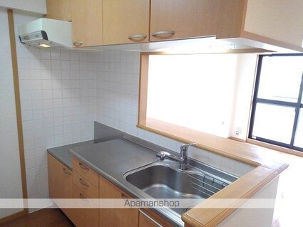 ラグジュアリー[2LDK/56.55m2]のキッチン