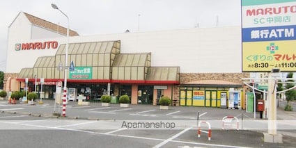 ヒーローマンションアイリス[1LDK/42.46m2]の周辺