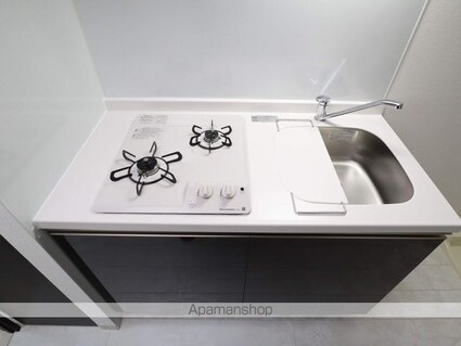 エステムコート名古屋泉プラチナムゲート[1K/21.35m2]のキッチン