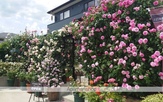 apartment 福島県相馬市百槻字蓬田
地図を見る