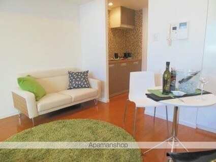 カスタリア芝公園[1R/27.68m2]のリビング・居間1