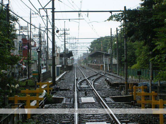 プラムツリーの周辺写真