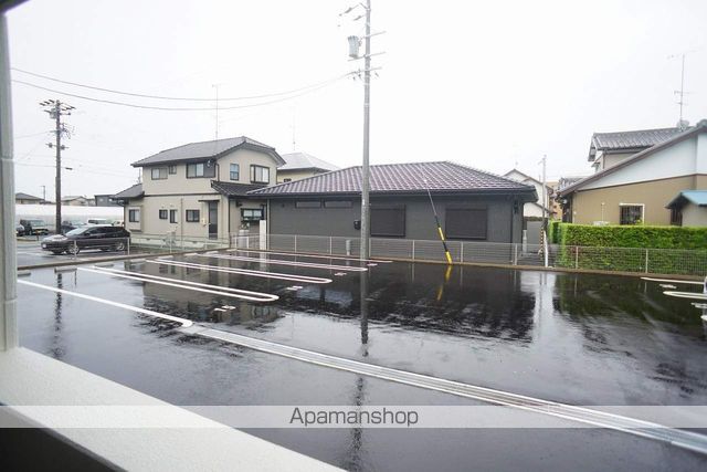 カメリアのその他写真