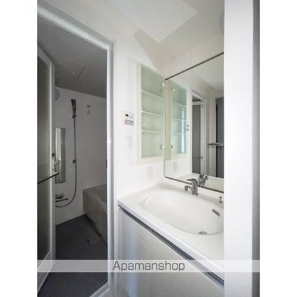 エスティメゾン東新宿[2K/39.91m2]の洗面所