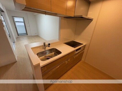 滋賀県草津市大路１丁目[1LDK/46.98m2]のキッチン