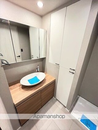 レジディアタワー上池袋（タワー棟）[1SLDK/57.24m2]の洗面所