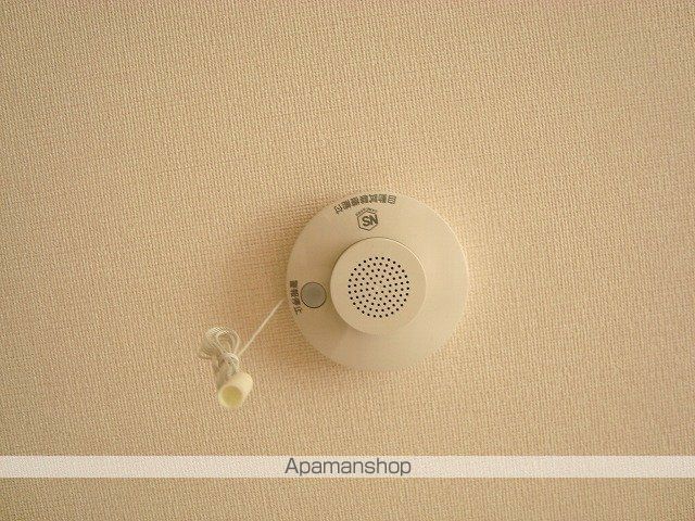 ノアースのその他写真