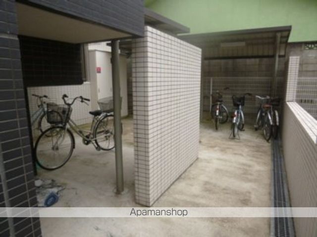 アクロヤシロダイ.のその他写真