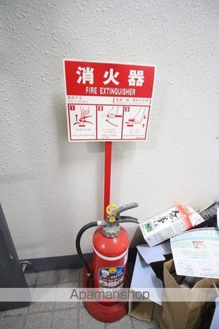 メイプルのその他写真