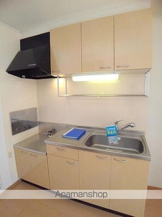 ヴィラ　コスモス[2LDK/54.85m2]のキッチン