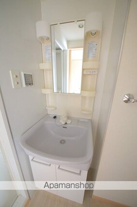 アネシス[1K/30.69m2]の洗面所