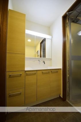 玉川田園調布２丁目戸建[4SLDK/141.86m2]の洗面所