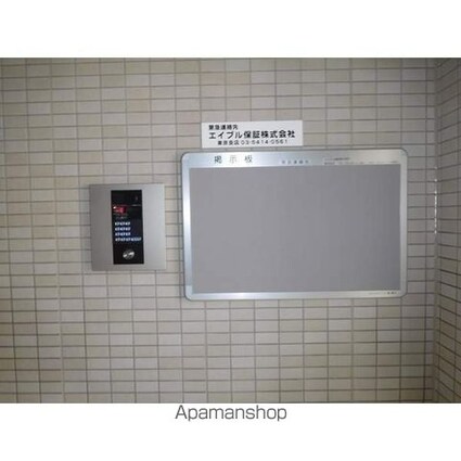 ロイヤルテラス橘亀戸[1DK/30.49m2]の周辺1