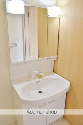 シャーメゾンたけとんぼ[1SLDK/57.35m2]の洗面所