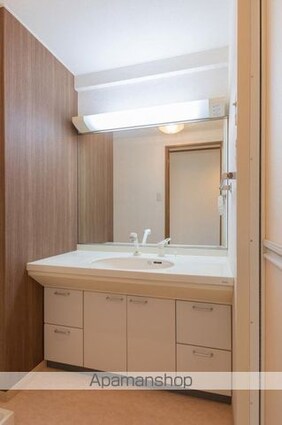 ＲＩＯ・ＰＬＡＴＩＮＯ[2LDK/60m2]の洗面所