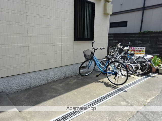 アルスハタゴのその他写真