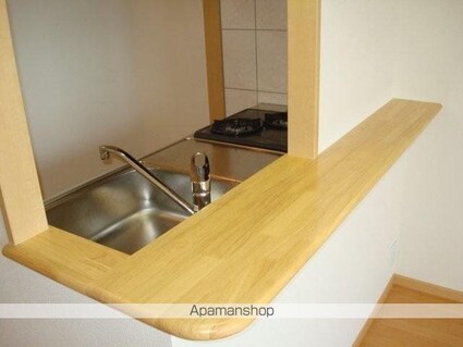 プラウディア天神[1LDK/33.05m2]のキッチン