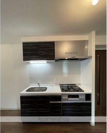 東京都杉並区和泉３丁目[2SLDK/46.44m2]のキッチン