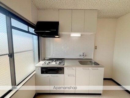 エクセル篠原[2DK/38.88m2]のキッチン