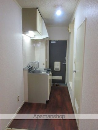 ドルフィン[1K/19.87m2]の内装1