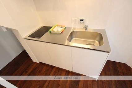カラスヤマテラスＥＷ[1R/22.25m2]のキッチン