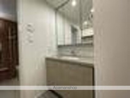 ザ・パークハビオ上北沢[2LDK/51.2m2]の洗面所