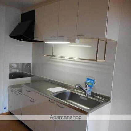 ダンデ　ライオン[2DK/46.79m2]のキッチン