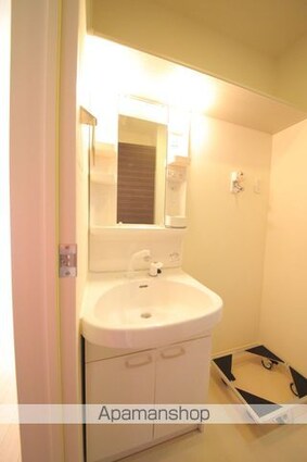 ウェルコート[1R/29m2]の洗面所