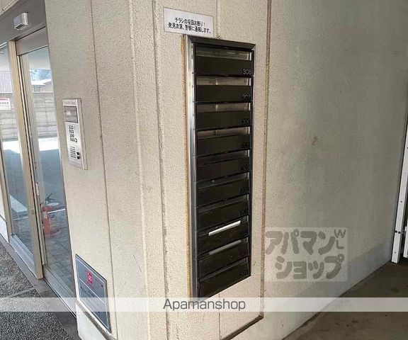フルートファルシードのその他写真