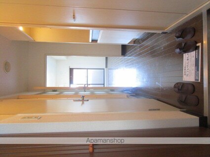 ラ・パルフェ・ド・フィネス[1K/21.75m2]の玄関