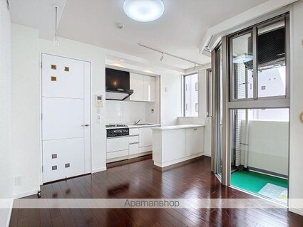 ディ・レジデンセス銀座東[1SLDK/43.02m2]の内装5