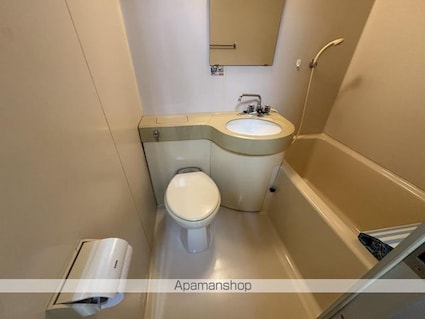 ダイアパレス中新町３０２号室[1R/22.71m2]のトイレ