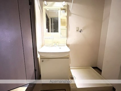 自然館[2LDK/55.62m2]の洗面所